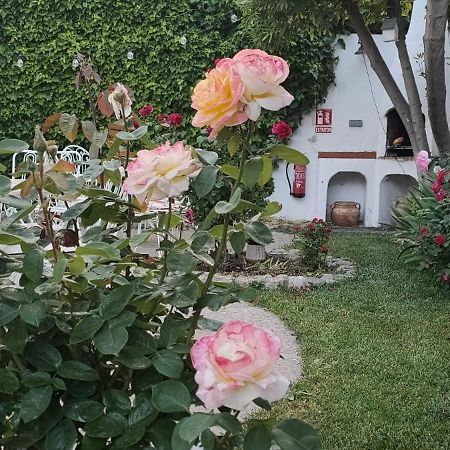 Los Suenos De Buendía المظهر الخارجي الصورة